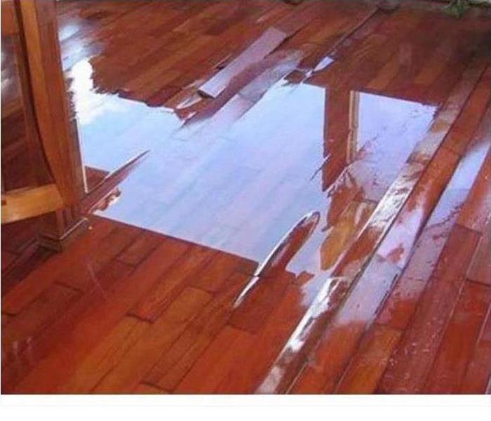 water pooling on dark hardwood floor that is warping